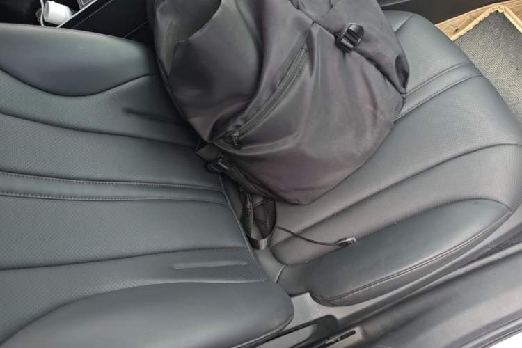 Used Roewe D7 2025 EV 510km Rear-Drive Navigation Edition Right Front Seat