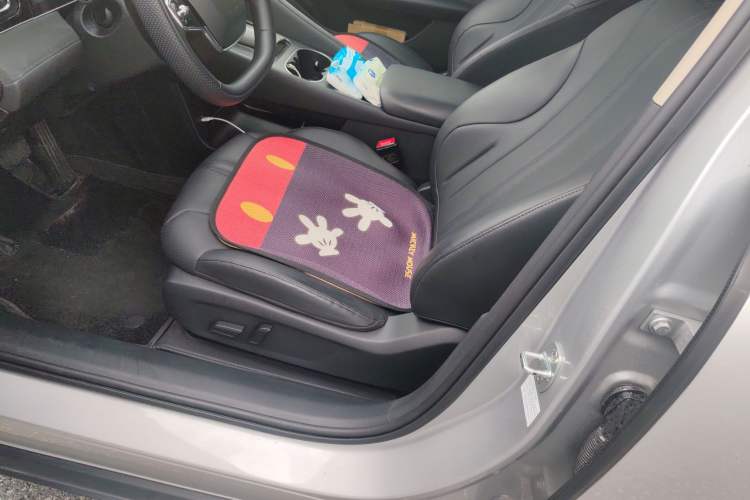 Used Roewe D7 2025 DMH 125km World Champion Excellence Edition Left Front Seat