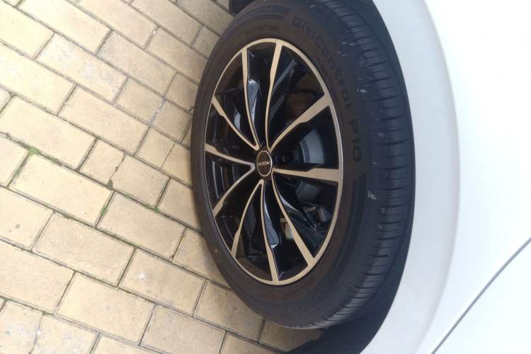 Used Roewe D7 2025 DMH 125km World Champion Edition Exterior 5