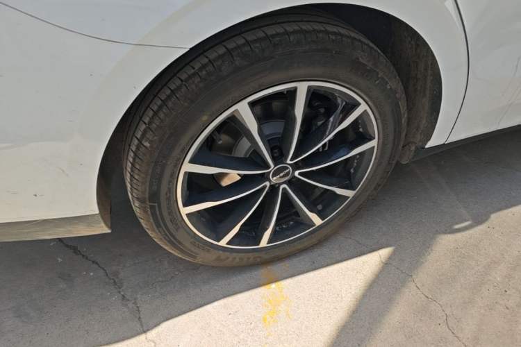 Used Roewe D7 2025 DMH 125km World Champion Edition Exterior 5