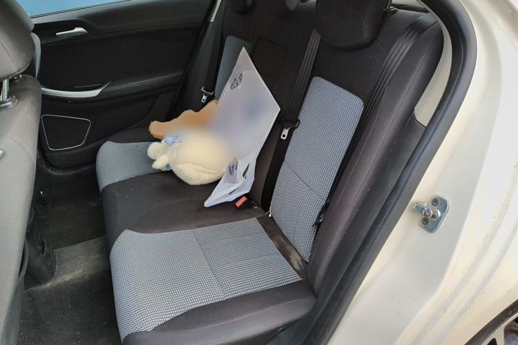 Used Roewe e550 2014 Luxury Edition Left Rear Seat