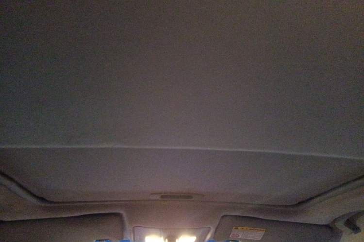 Used Roewe e550 2016 Deluxe Edition Headliner