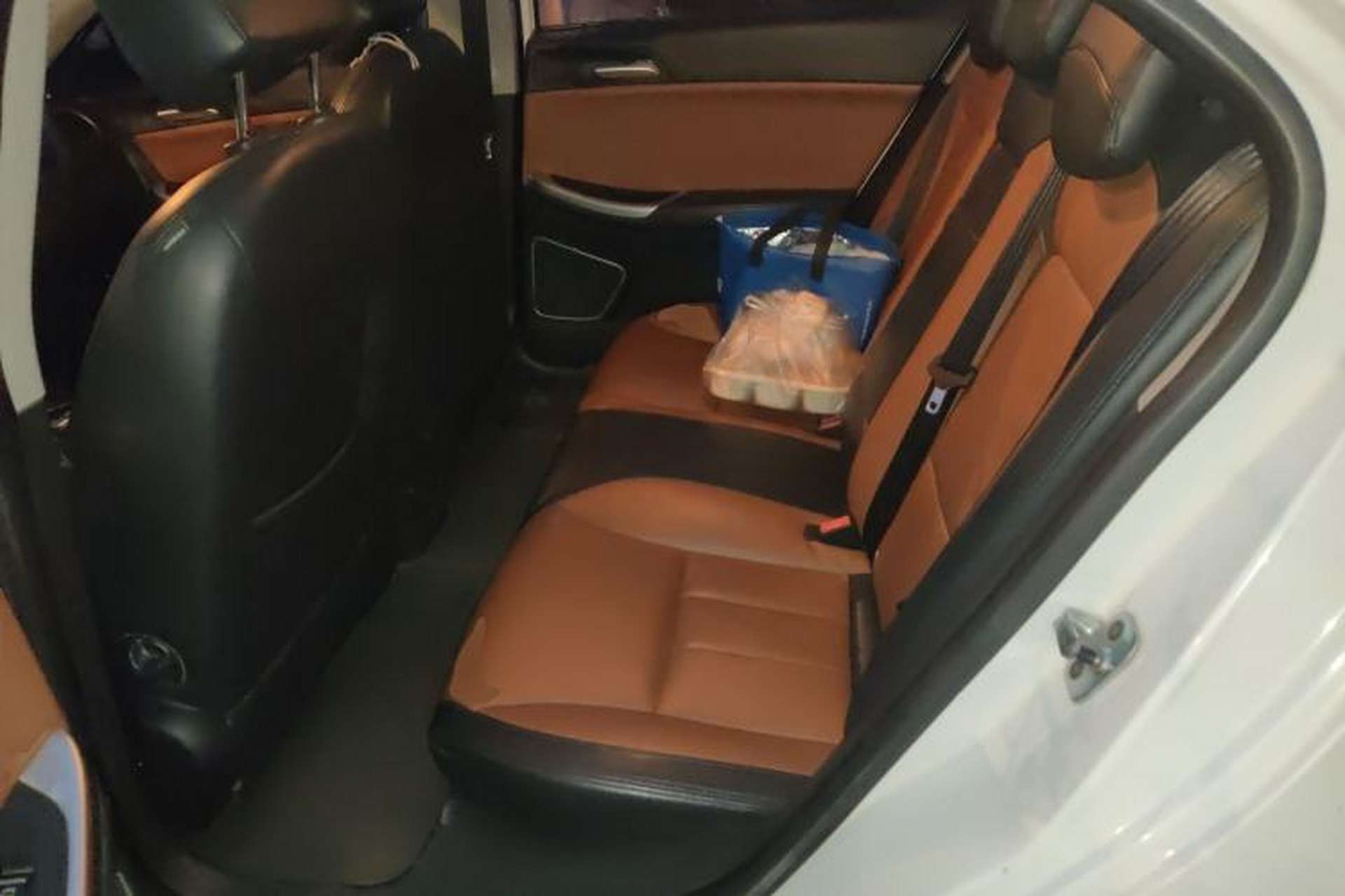 Used Roewe e550 2016 Deluxe Edition Left Rear Seat