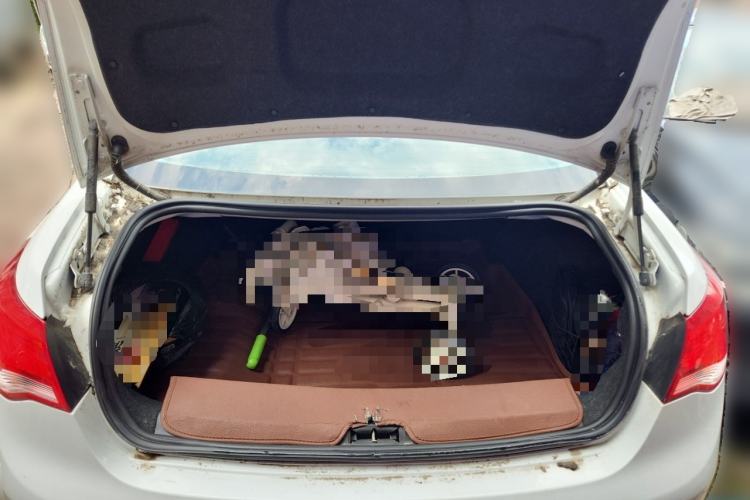 Used Roewe e550 2016 Deluxe Edition Trunk