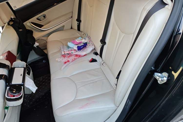 Used Roewe e950 2017 50T Hybrid Connected Executive Edition Left Rear Seat