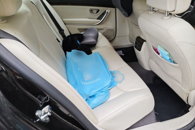 Used Roewe e950 2017 50T Hybrid Connected Executive Edition Left Rear Seat