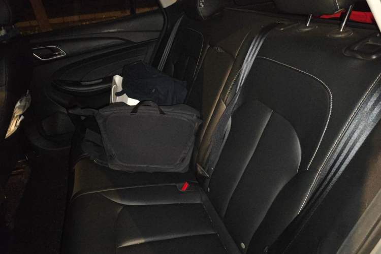 Used Roewe Ei5 2018 Internet Luxury Edition Left Rear Seat