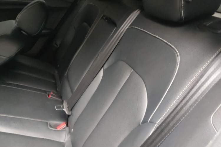 Used Roewe Ei5 2018 Internet Flagship Edition Left Rear Seat