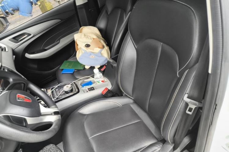 Used Roewe Ei5 2018 Internet Luxury Edition Left Front Seat
