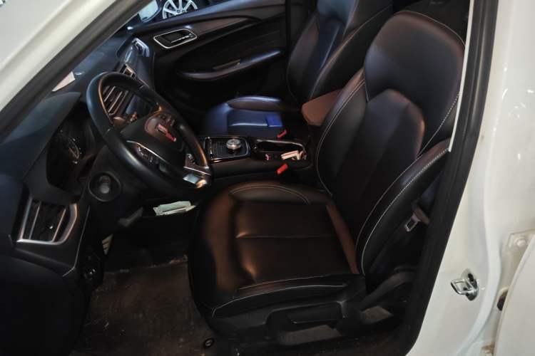 Used Roewe Ei5 2018 Internet Luxury Edition Left Front Seat