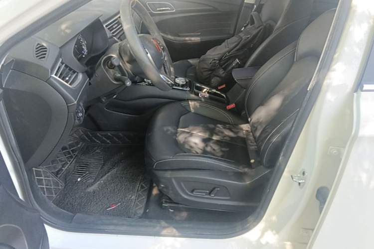 Used Roewe Ei5 2018 Internet Flagship Edition Left Front Seat