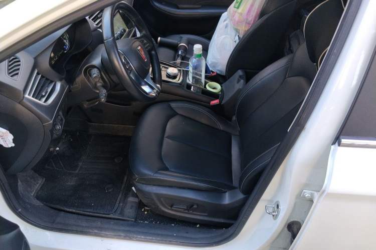 Used Roewe Ei5 2018 Internet Flagship Edition Left Front Seat
