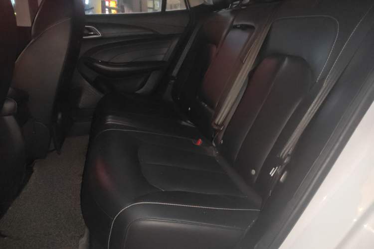 Used Roewe Ei5 2018 Internet Luxury Edition Left Rear Seat