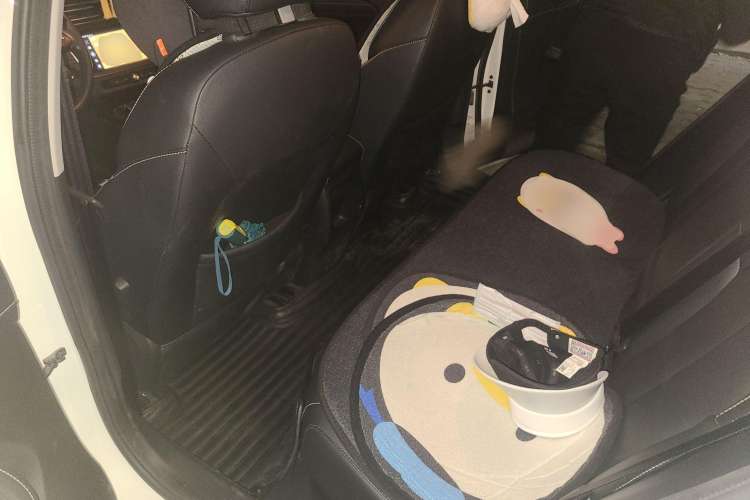 Used Roewe Ei5 2018 Internet Flagship Edition Left Rear Seat