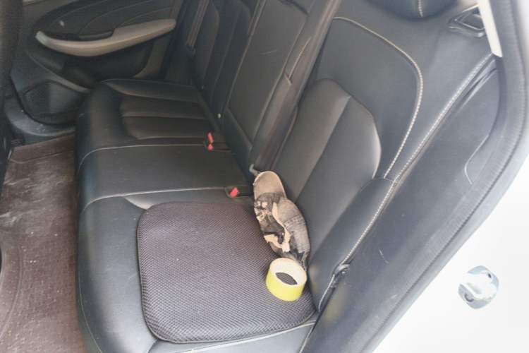 Used Roewe Ei5 2018 Internet Luxury Edition Left Rear Seat