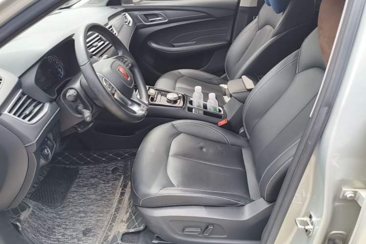 Used Roewe Ei5 2018 Internet Flagship Edition Left Front Seat