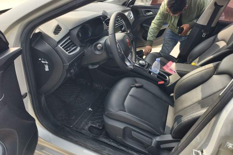 Used Roewe Ei5 2019 Luxury Edition Left Front Seat