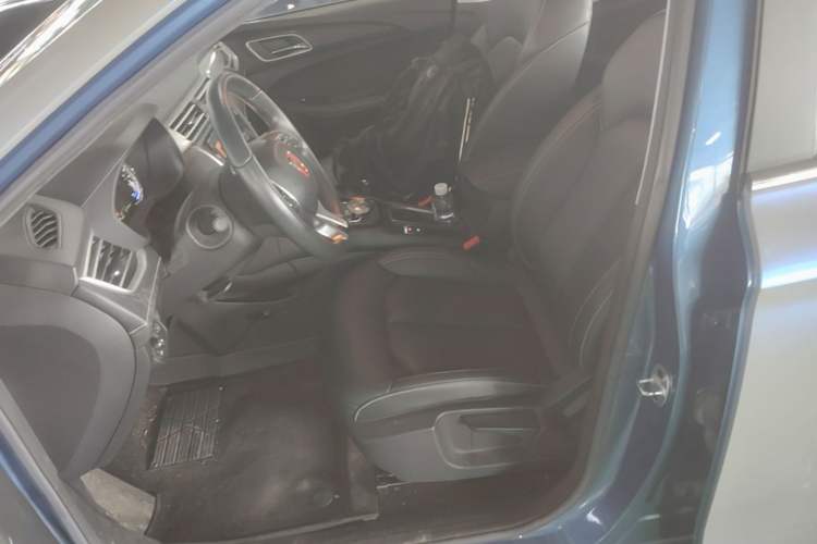 Used Roewe Ei5 2019 Luxury Edition Left Front Seat