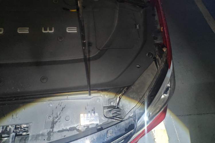 Used Roewe Ei5 2019 Luxury Edition Engine Bay Left