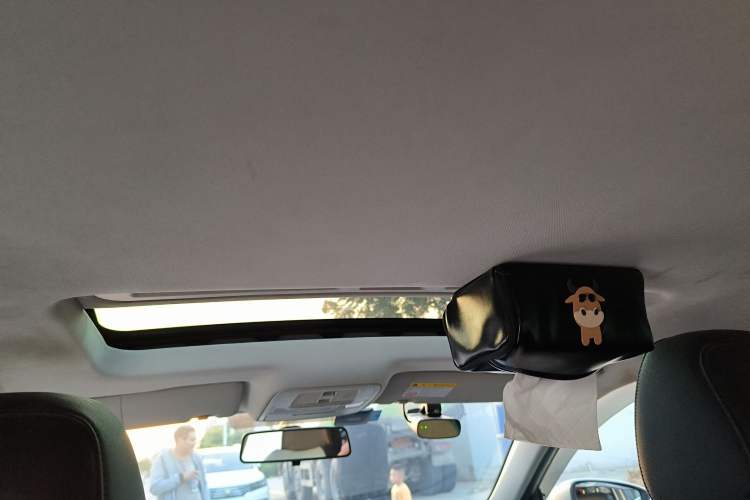 Used Roewe Ei5 2019 Luxury Edition Headliner