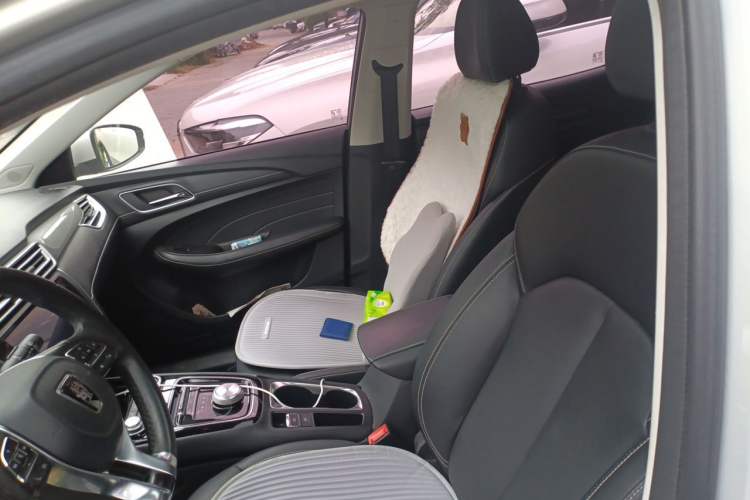 Used Roewe Ei5 2019 Luxury Edition Left Front Seat