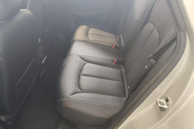 Used Roewe Ei5 2019 Smart Connect Flagship Edition Left Rear Seat