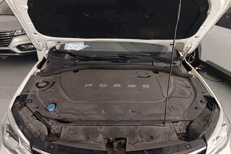 Used Roewe Ei5 2019 Luxury Edition Engine Bay