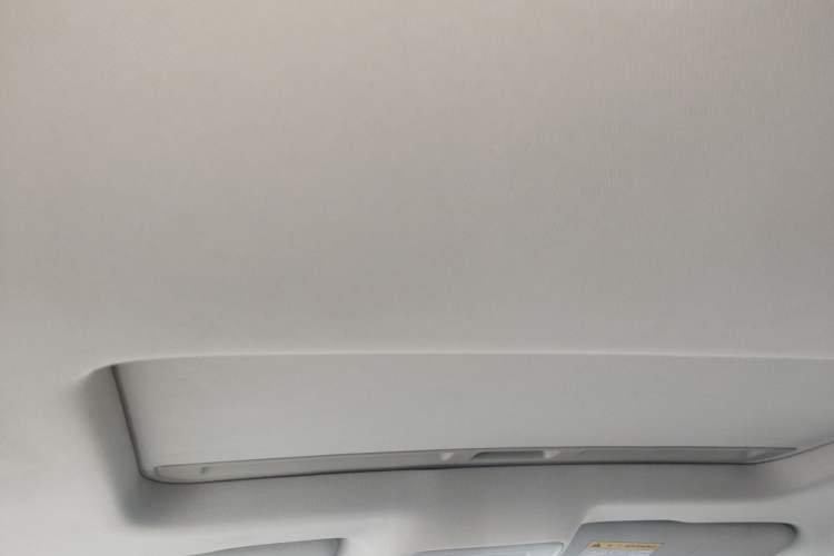Used Roewe Ei5 2019 Luxury Edition Headliner