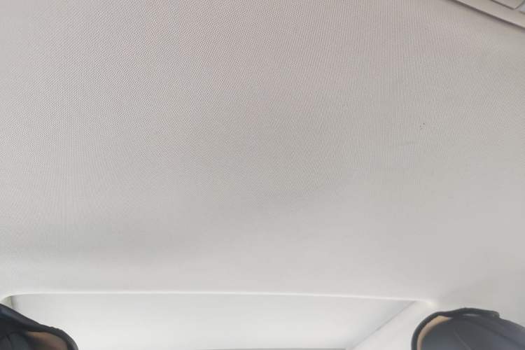 Used Roewe Ei5 2019 Luxury Edition Headliner
