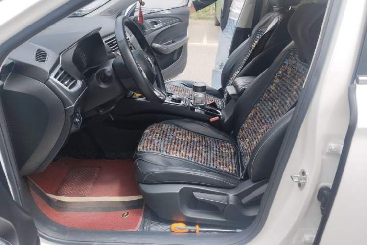 Used Roewe Ei5 2019 Luxury Edition Left Front Seat
