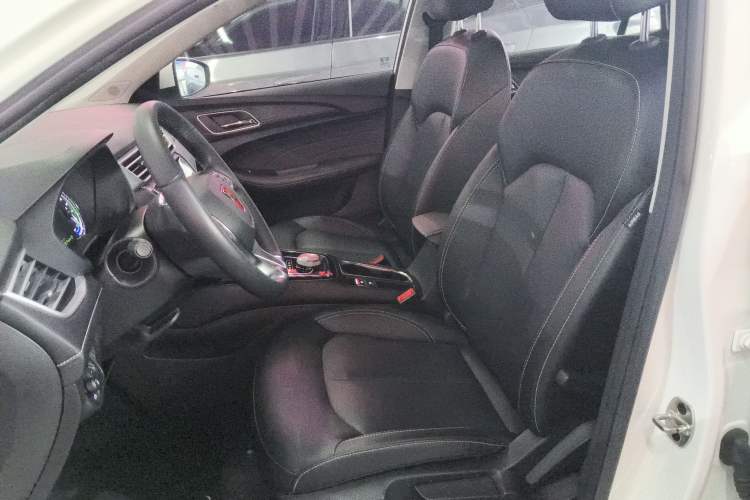 Used Roewe Ei5 2019 Smart Connect Flagship Edition Left Front Seat