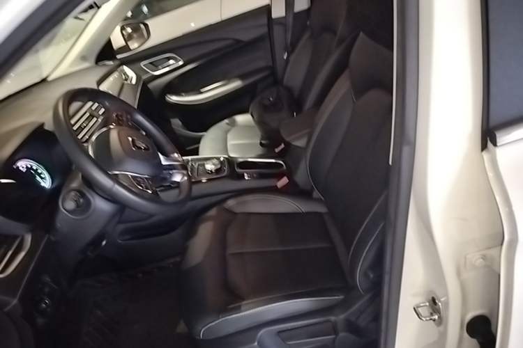 Used Roewe Ei5 2019 Smart Connect Flagship Edition Left Front Seat