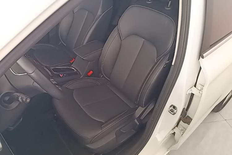 Used Roewe Ei5 2019 Luxury Edition Left Front Seat