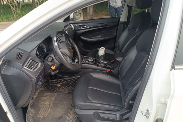Used Roewe Ei5 2019 Luxury Edition Left Front Seat