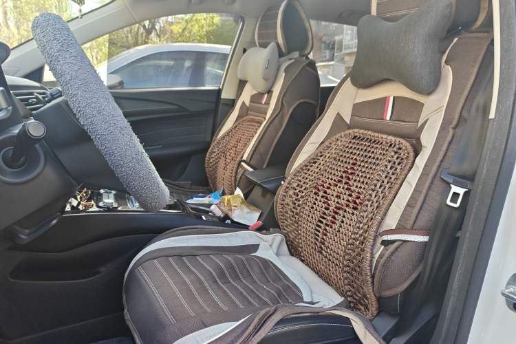 Used Roewe Ei5 2019 Smart Connect Flagship Edition Left Front Seat