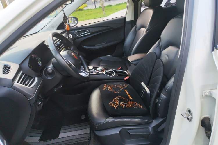 Used Roewe Ei5 2019 Luxury Edition Left Front Seat