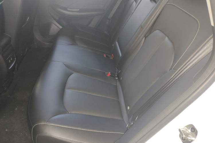 Used Roewe Ei5 2019 Luxury Edition Left Rear Seat