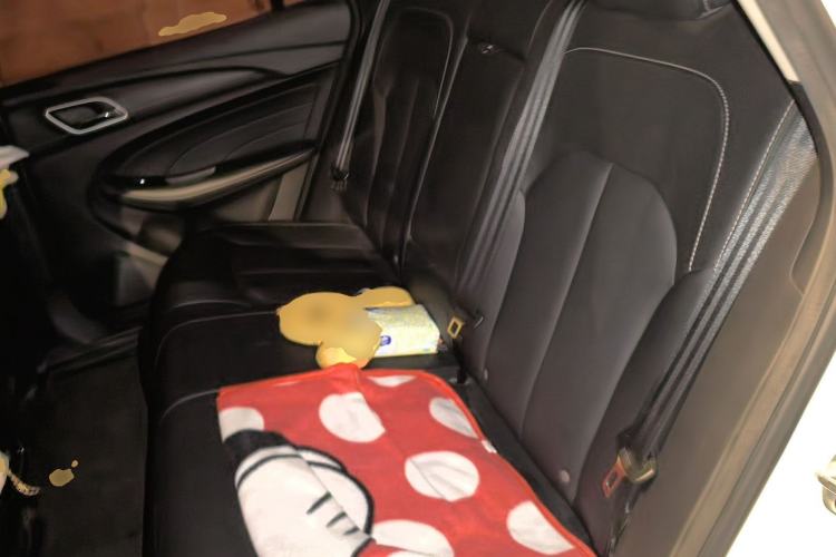 Used Roewe Ei5 2019 Luxury Edition Left Rear Seat
