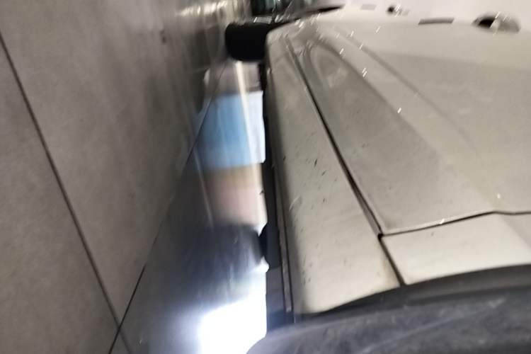 Used Roewe Ei5 2019 Smart Connect Flagship Edition Right Side Sill