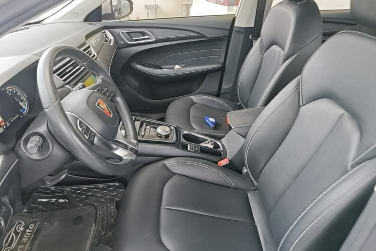 Used Roewe Ei5 2019 Luxury Edition Left Front Seat