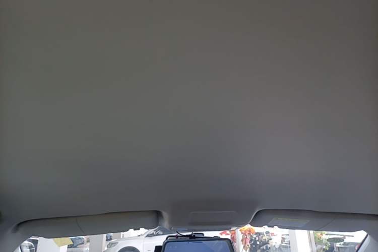 Used Roewe Ei5 2020 Comfort Edition Headliner
