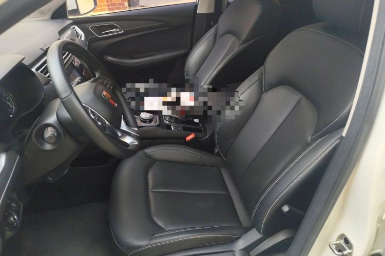 Used Roewe Ei5 2020 Smart Connect Flagship Edition Left Front Seat