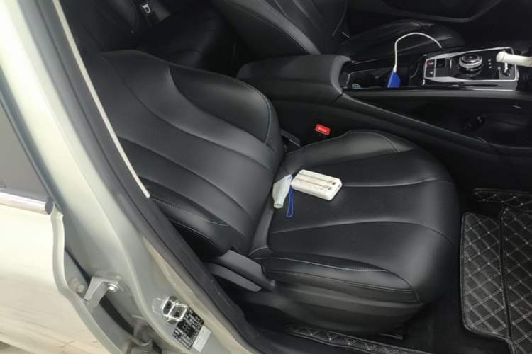 Used Roewe Ei5 2021 500 Prestige Edition Right Front Seat