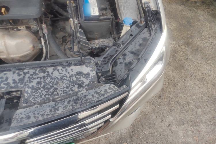 Used Roewe i5 2019 1.5L Automatic 4G Connected Langhao Edition Engine Bay Left