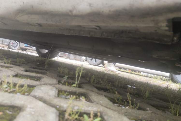 Used Roewe i5 2019 20T Automatic Intelligent Connectivity Super-Power Supreme Edition Chassis Rear Left
