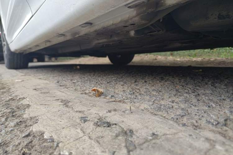 Used Roewe i5 2019 1.5L Automatic 4G Connected Langhao Edition Chassis Rear Left