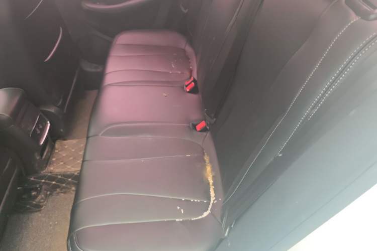 Used Roewe i5 2019 1.5L Automatic 4G Connected Langyue Edition Left Rear Seat