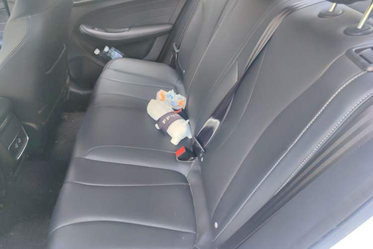 Used Roewe i5 2019 1.5L Automatic 4G Connected Langhao Edition Left Rear Seat
