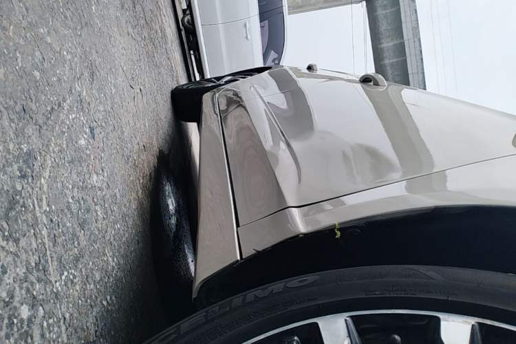 Used Roewe i5 2020 1.5L Automatic 4G Connect Luxury Flagship Edition Right Side Sill