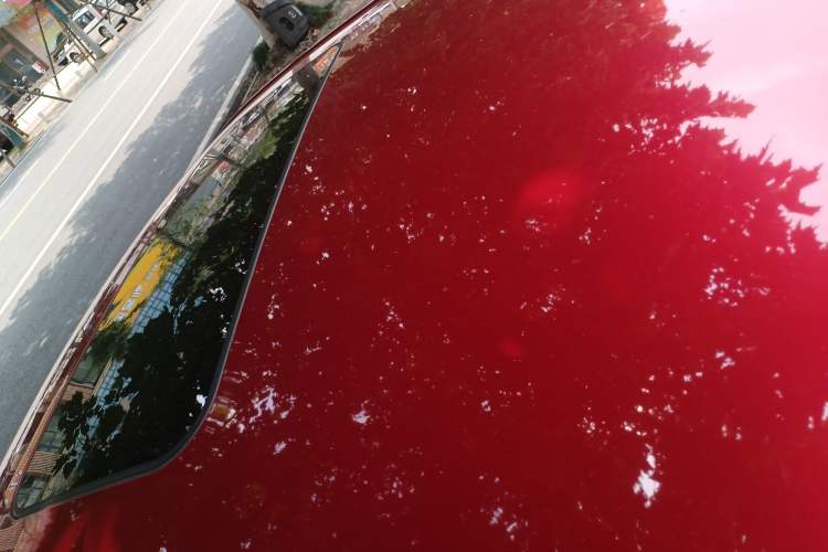 Used Roewe i5 2020 1.5L Automatic 4G Connect Luxury Flagship Edition Roof